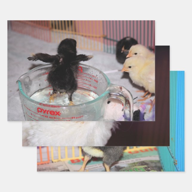 Baby chickens wrapping paper sheet (Set)