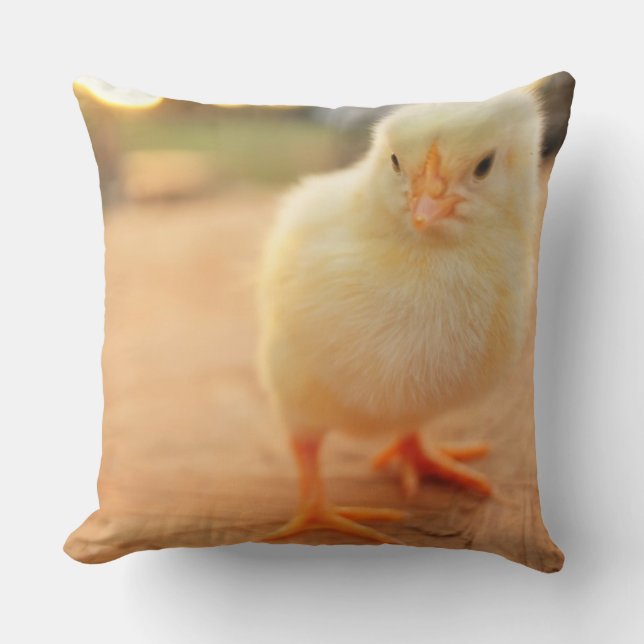 Baby Chicks Cushion (Front)