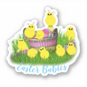 Baby Chicks Easter