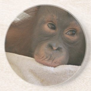 Baby Chimp Coasters