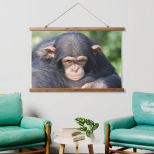 Baby Chimp Connection Hanging Tapestry