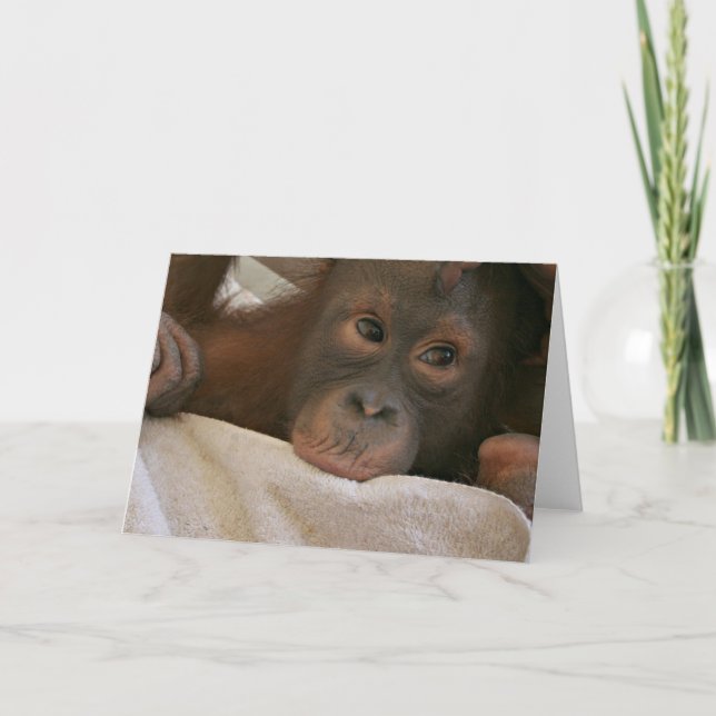 Baby Chimp Greeting Card (Front)