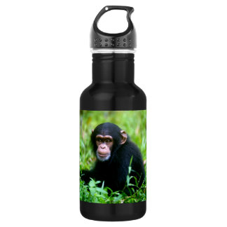 Baby Chimp in Grass 532 Ml Water Bottle