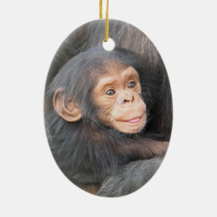Baby Chimpanzee Ceramic Ornament