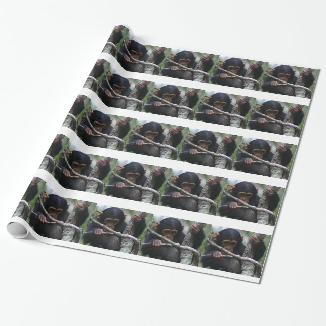 Baby Chimpanzee Wrapping Paper (Unrolled)