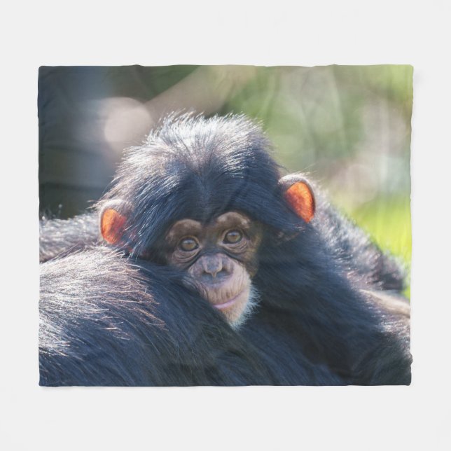 Baby Chimpanzee's Journey Fleece Blanket (Front (Horizontal))