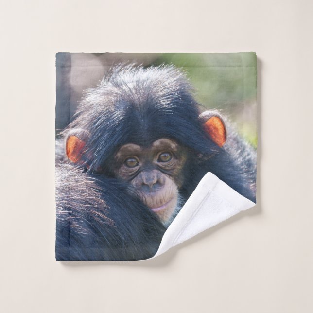 Baby Chimpanzee's Journey Wash Cloth (Wash Cloth)