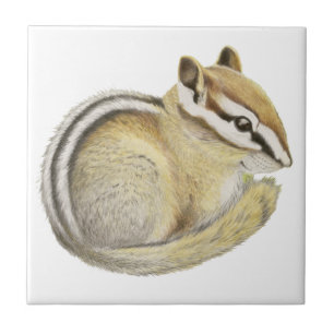 Baby Chipmunk Ceramic Tile