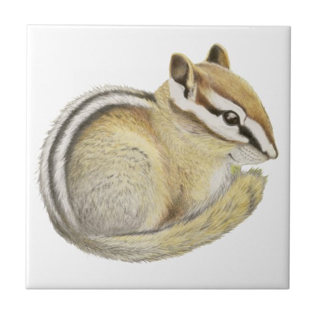 Baby Chipmunk Ceramic Tile (Front)