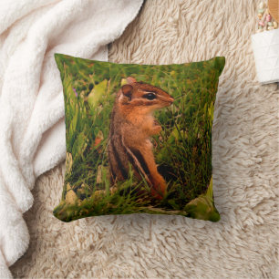 Baby Chipmunk Nature Art Cushion