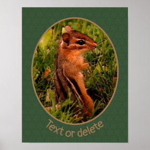 Baby Chipmunk Wildlife Animal Art Personalized Poster