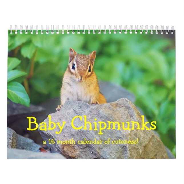 Baby Chipmunks 2013/2014 (16 month calendar) Calendar (Cover)