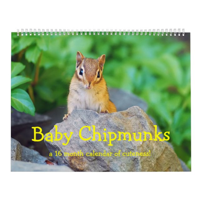 Baby Chipmunks 2016/2017 (16 month calendar) Calendar (Cover)