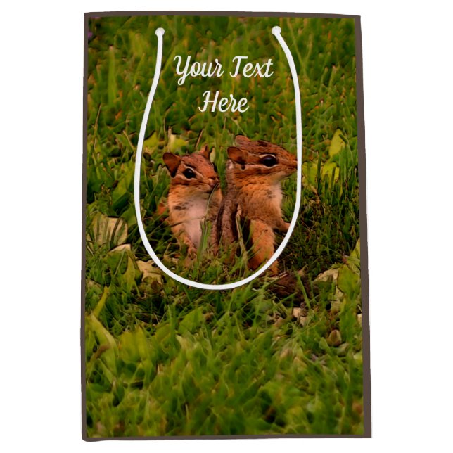 Baby Chipmunks Animal Art Personalised Medium Gift Bag (Front)