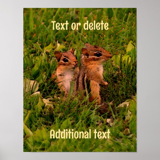 Baby Chipmunks Animal Art Personalised  Poster (Front)