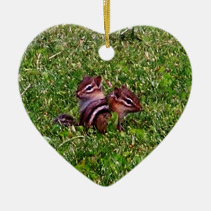 Baby Chipmunks Animal Nature Ornament