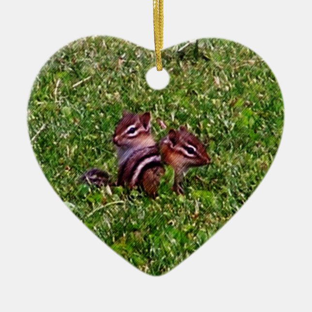 Baby Chipmunks Animal Nature Ornament (Front)