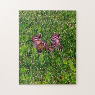 Baby Chipmunks First Day #1 Animal Art Jigsaw Puzzle