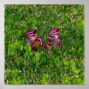 Baby Chipmunks First Day #1 Animal Poster
