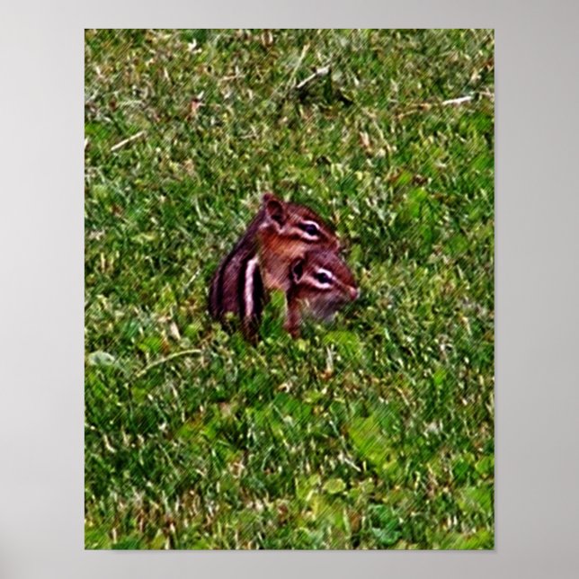 Baby Chipmunks First Day #2 Animal Poster (Front)