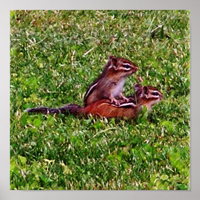 Baby Chipmunks First Day #5 Animal  Poster (Front)