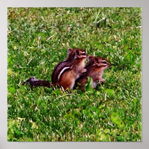 Baby Chipmunks First Day #6 Animal Poster
