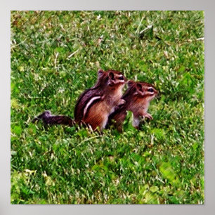 Baby Chipmunks First Day #6 Animal Poster