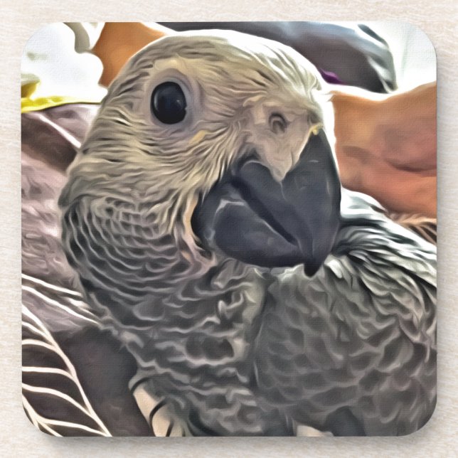 Baby Congo African Gray Parrot Coaster (Front)