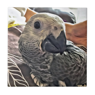 Baby Congo African Grey Parrot Tile
