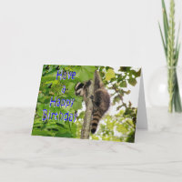 Baby Coon Bday wishes