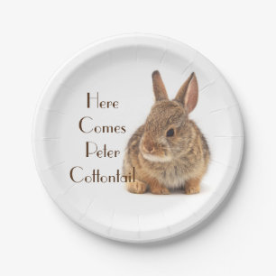 Baby Cottontail Rabbit Paper Plate