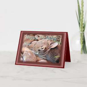 Baby Cottontails-any occasion-customise Card