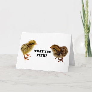 Baby Coturnix and bobwhite Quail Chicks Card