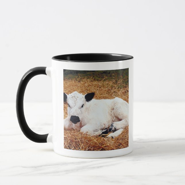Baby Cow, Calf Mug (Left)