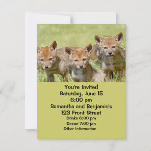 Baby Coyotes Photo Invitation