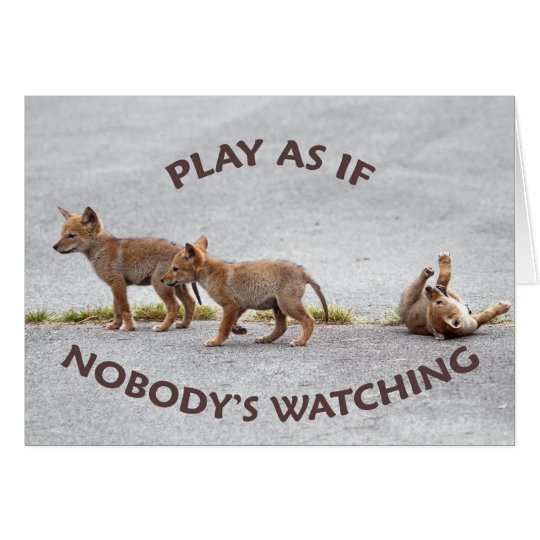 Baby Coyotes Playing Card