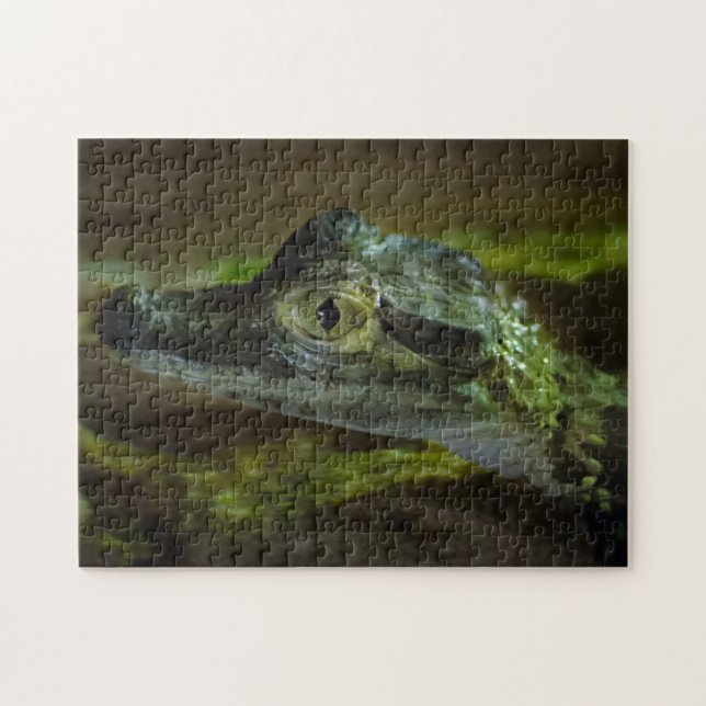 Baby Crocodile Swimming in Water Jigsaw Puzzle (Horizontal)