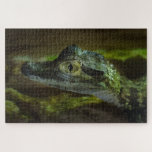 Baby Crocodile Swimming in Water Jigsaw Puzzle<br><div class="desc">Don't get too close to him,  i'm sure his momma isn't too far behind.</div>