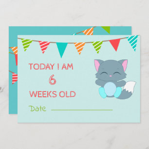 Baby Cute  Milestone Month Colourful Kitten Invitation