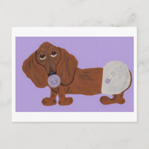 Baby Dachshund Postcard