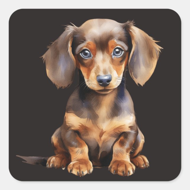 Baby Dachshund Square Sticker (Front)