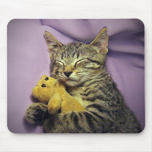 Baby Daisy Kitty Cat Kitten Sleeping w/ Teddy Bear Mouse Pad (Front)
