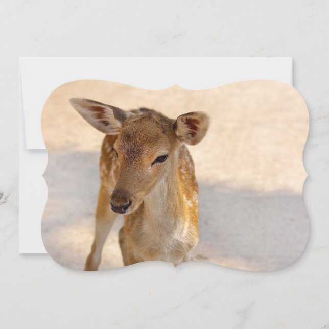 Baby Deer (Front)
