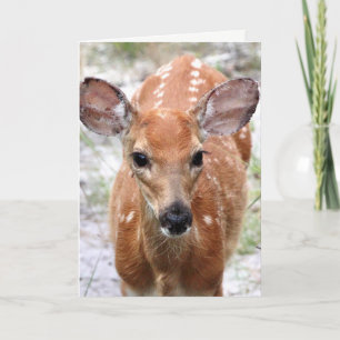 Baby Deer Blank Greeting Card