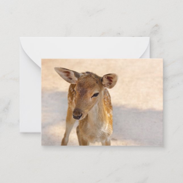 Baby Deer Card (Front)