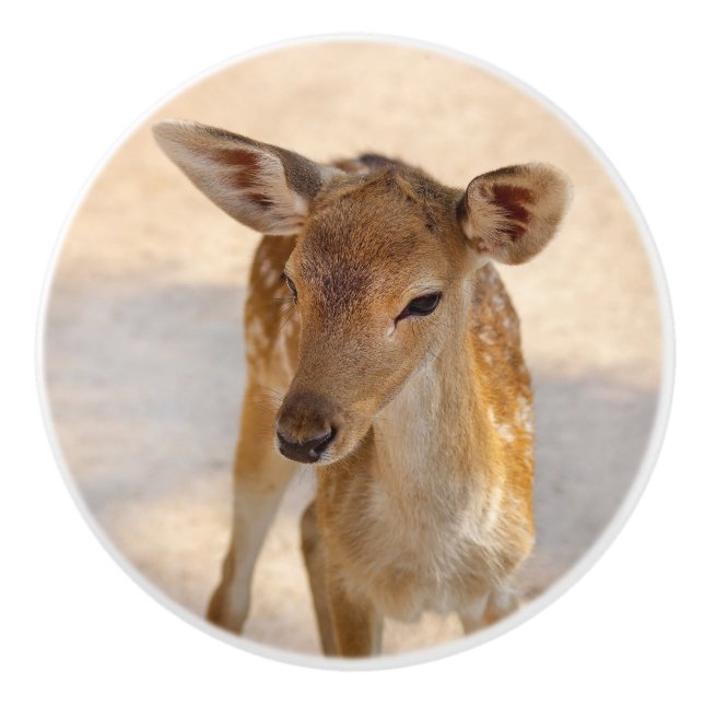 Baby Deer Ceramic Knob (Front)