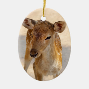 Baby Deer Ceramic Ornament