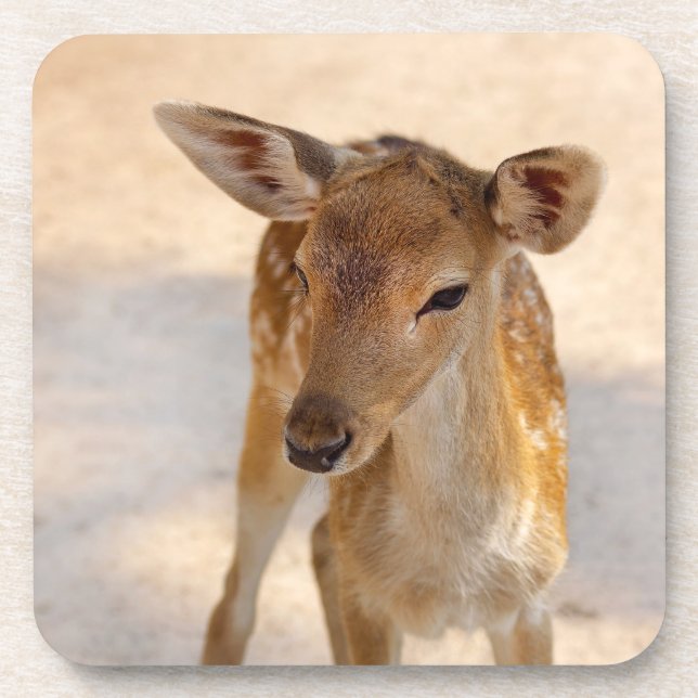 Baby Deer Coaster (Front)