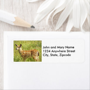 Baby Deer Fawn Nature Photo Return Address Label