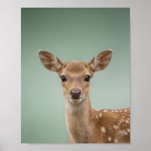 Baby Deer Fawn Portrait – Cute Nursery Animal Wall